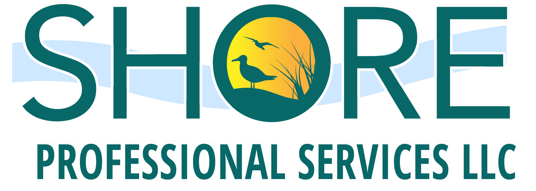 Shore Professional Services