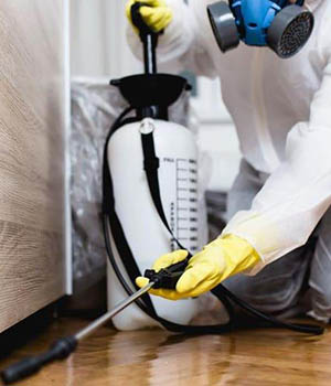 Pest Control by Shore Professional Services